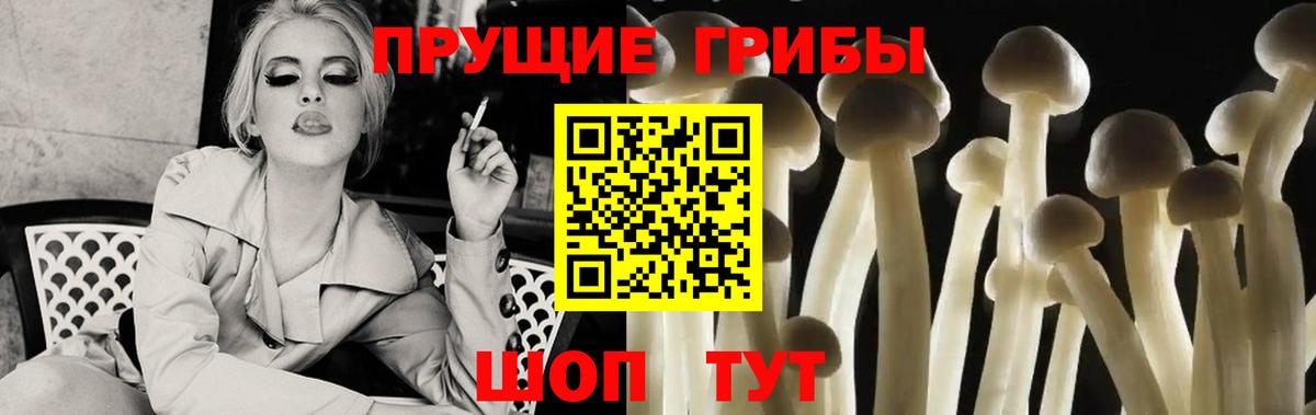 Альметьевск  Псилоцибиновые грибы мухоморы  Галлюциногенные грибы Magic Shrooms  Вход с VPN 